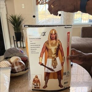 Dreamgirl Men's Egyptian Pharaoh Costume - Gold and White